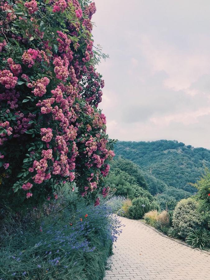 Agriturismo Gocce Di Luna Celle Ligure Εξωτερικό φωτογραφία